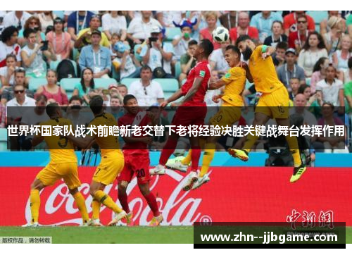 世界杯国家队战术前瞻新老交替下老将经验决胜关键战舞台发挥作用
